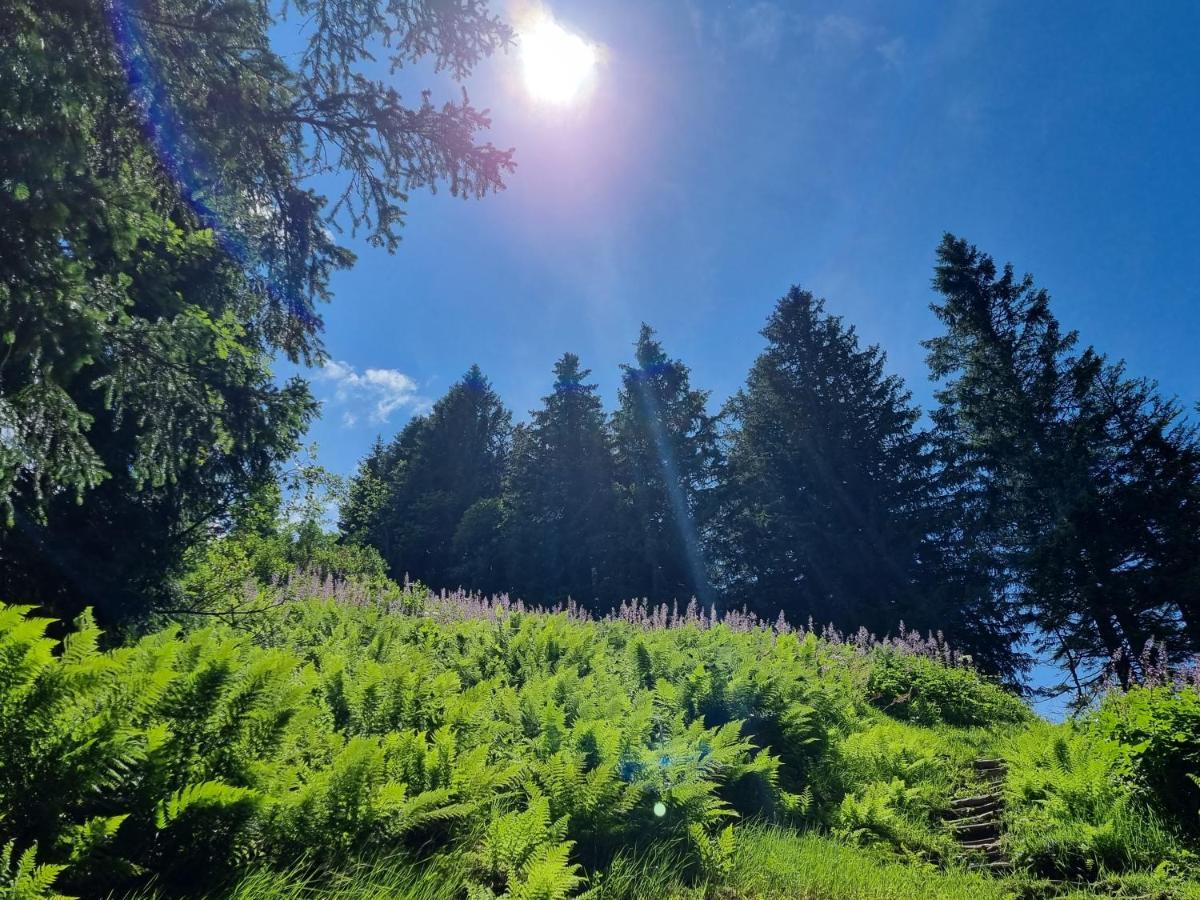 Gaestehaus Alpina Riezlern Bagian luar foto