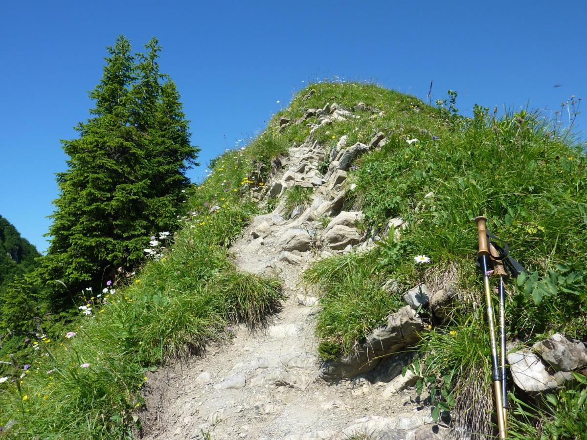 Gaestehaus Alpina Riezlern Bagian luar foto